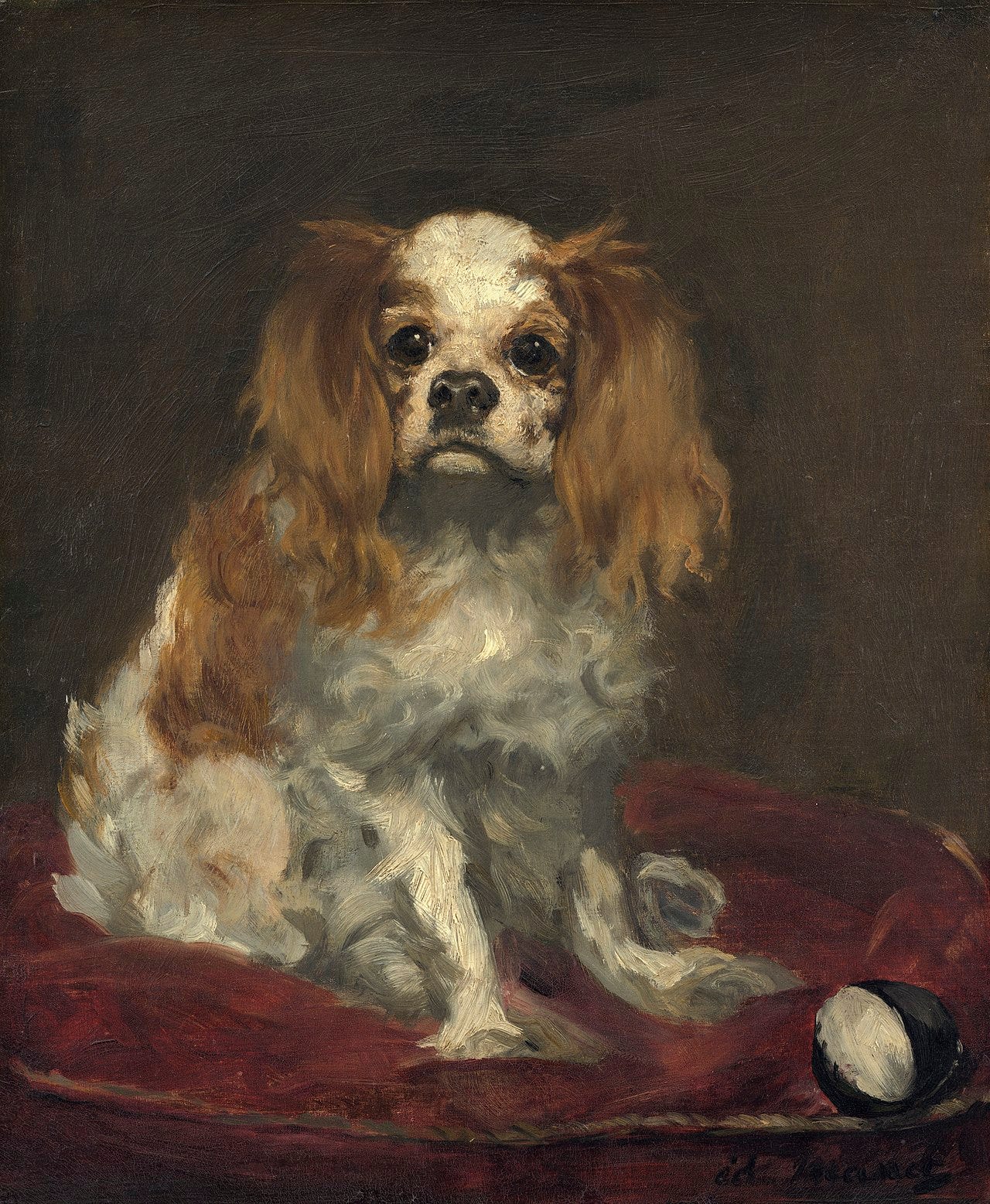 Edouard Manet, King Charles Spaniel, about 1866 Edouard Manet, King Charles Spaniel, about 1866