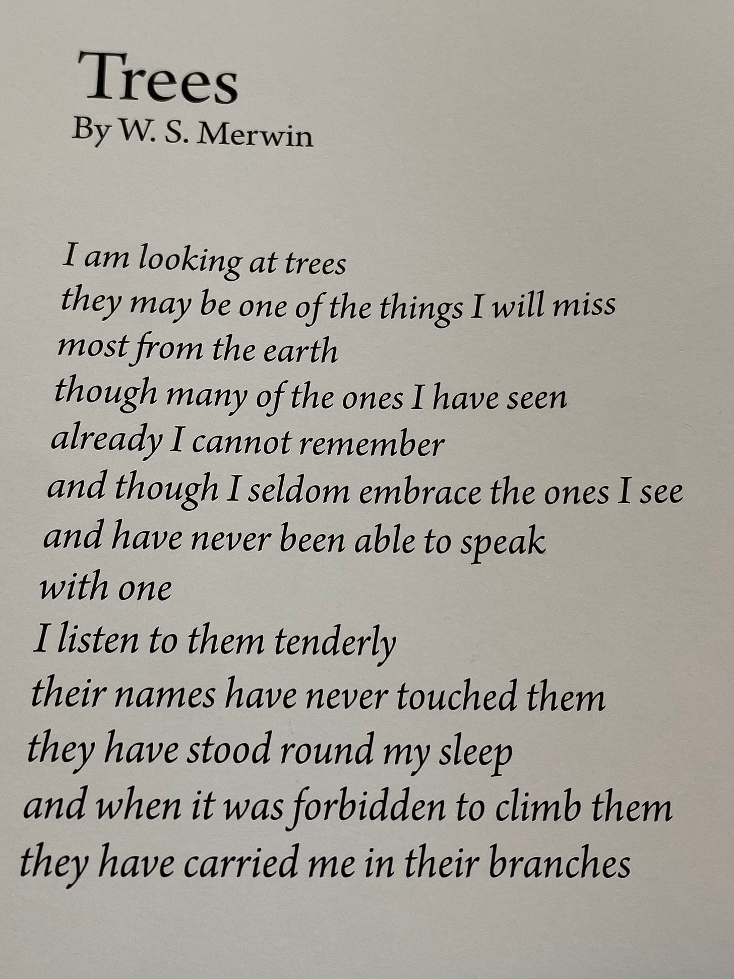 Screenshot of the linked poem Trees by W.S. Merwin.