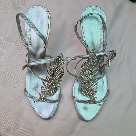 Kenzo, Jil Sander, Roberto Cavalli. Silver. Silk. Velvet. Transparent