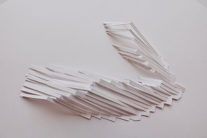 Two pictures of my cut model.