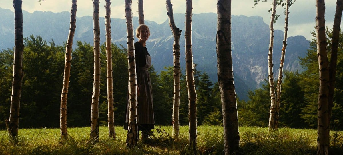 THE SOUND OF MUSIC (1965) Cinematography by Ted D. McCord Directed by  Robert Wise Explore more shots in our database: https://t.co/z8qbeAhwjA