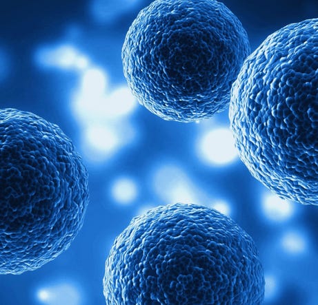 Exosomes: Tiny Messengers with Big Potential in Diagnostics