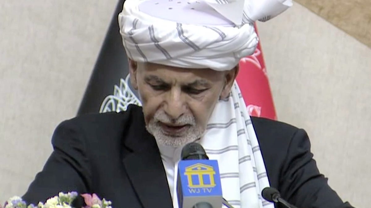 malekafzali.substack.com