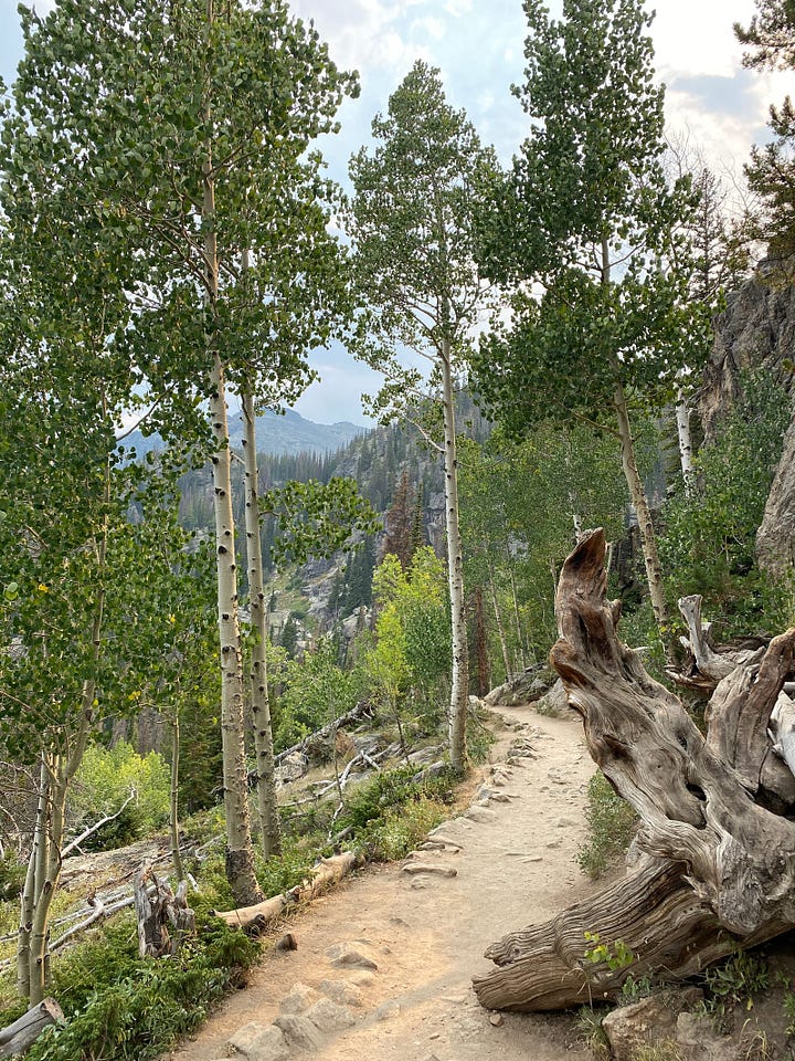 Photos from Rocky Mountain National Park