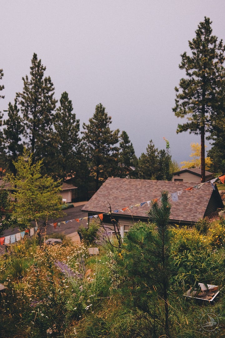 Fuji photographs of life in Montana by Tyler Knott Gregson