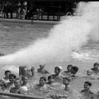 Disney/OCIAA Productions Presents: Malaria, DDT, & Polio