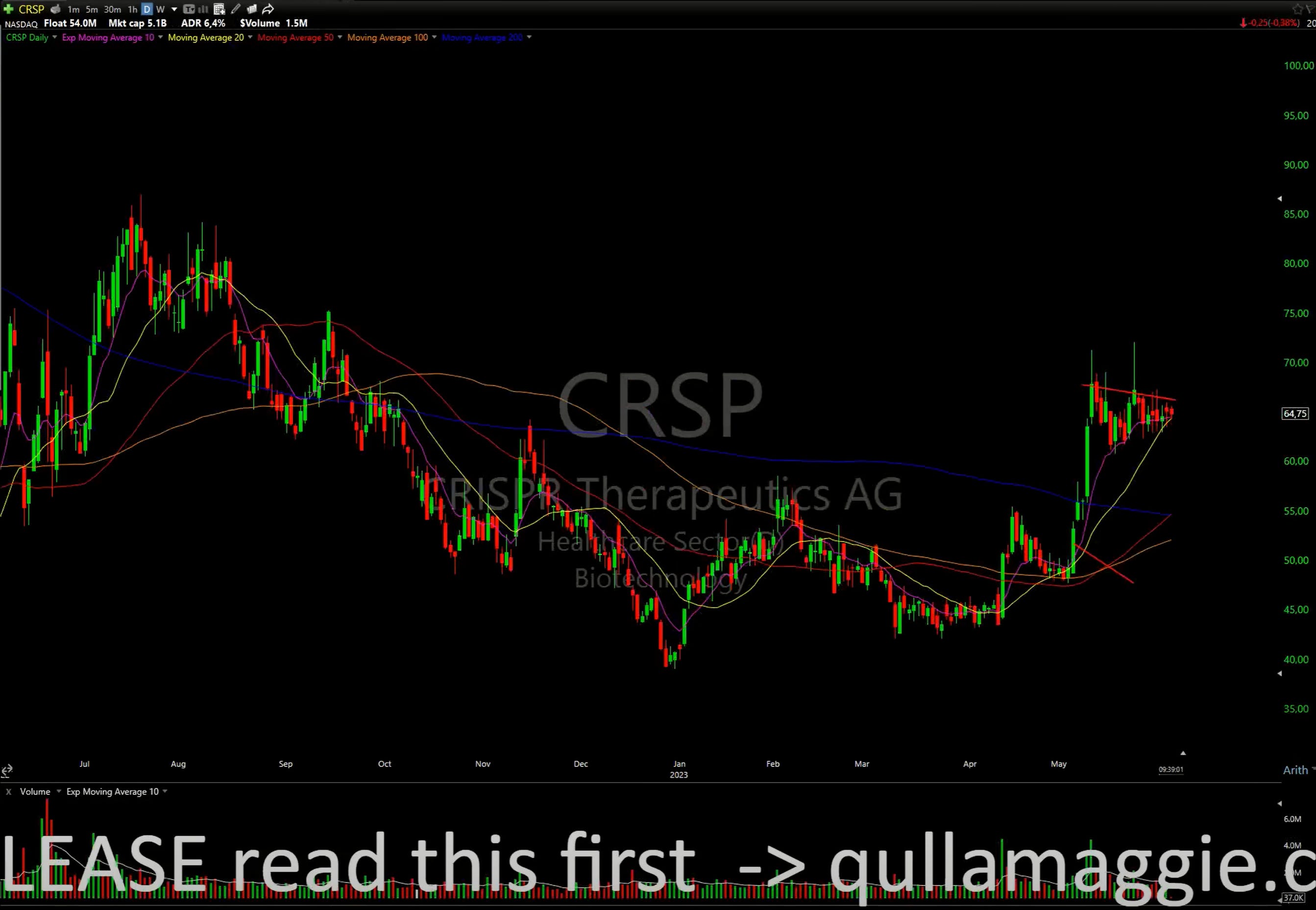 Qullamaggie Stream Notes: 5 June 2023 - by Kyna Kosling