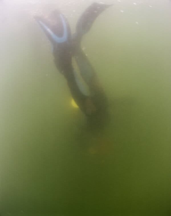 A diver's fins and legs are visible as they submerge beneath the water at Beach 8th Street in Far Rockaway.