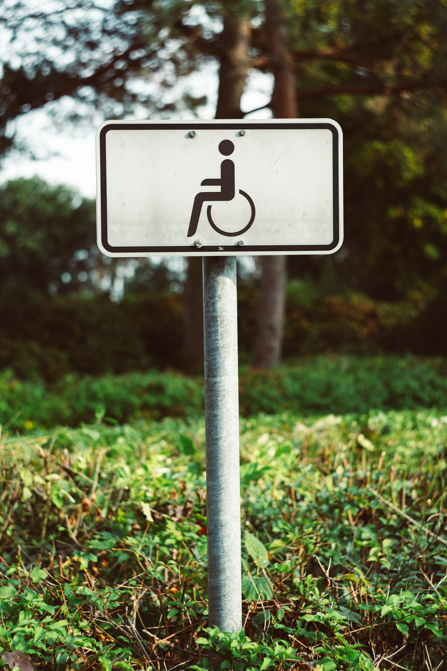 a handicapped sign in the middle of a field a handicapped sign in the middle of a field