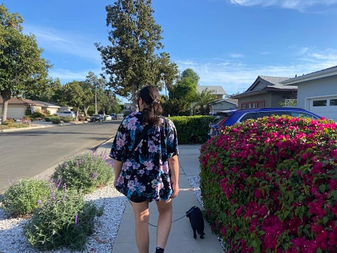 Left to right: clothes hanging on a line in a backyard, Anthony in a floral button down and Equis, a small black dog walking with roses on the right and trees in the background, a pepperoni and jalepeno pizza sitting on a stove top with the box open