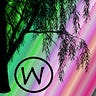 Under the Willow Tree