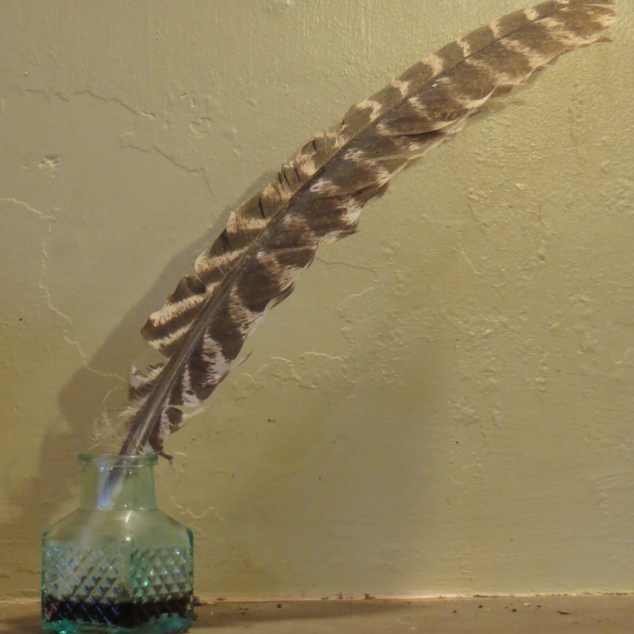 Barbara’s Newsletter