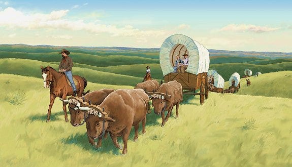 even the oxen are in pain