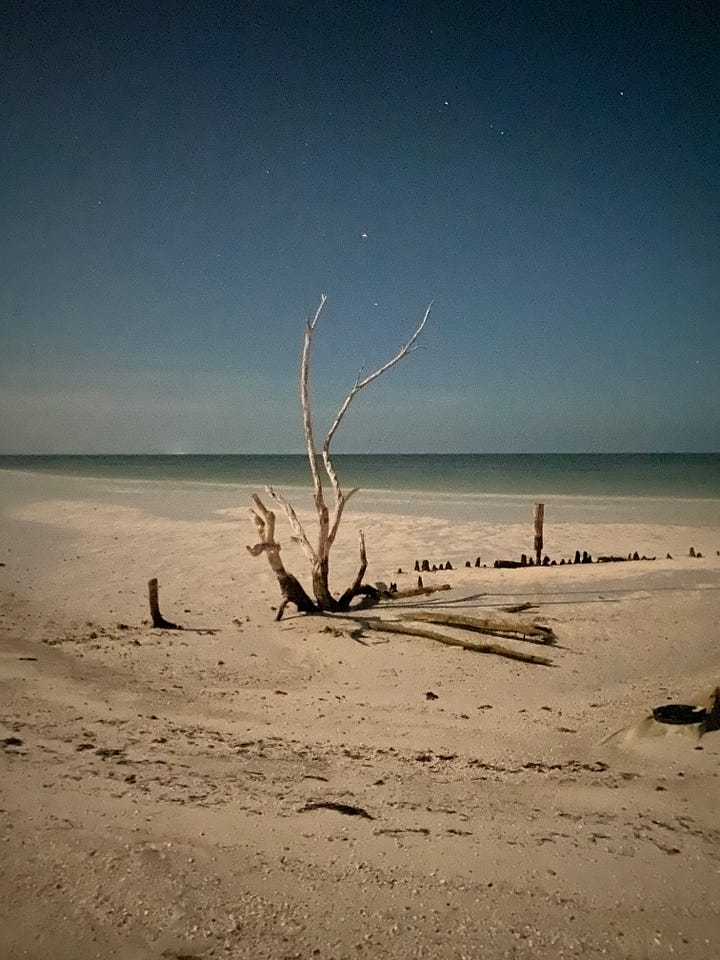 photos of sunsets and beach scenes after dark in Holbox, Mexico. The nighttime beach scenes appear to have been taken during the daytime, but because of the phone camera's ability to regulate light, the photos look like they were taken during the day. 