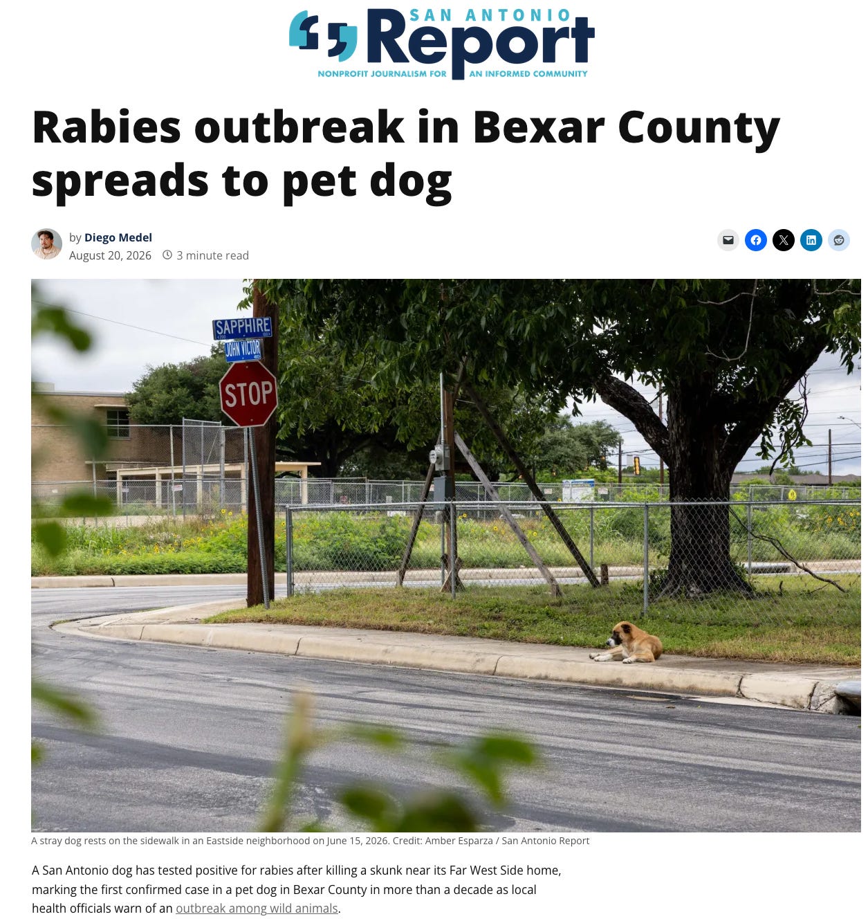 Dogs and cats can be exposed to rabies when they encounter a rabid wild animal, typically a skunk, raccoon, fox, coyote, or bat, etc. Remember that nearly any warm-blooded mammal can have rabies though, from hamsters to horses. Dogs and cats can be exposed to rabies when they encounter a rabid wild animal, typically a skunk, raccoon, fox, coyote, or bat, etc. Remember that nearly any warm-blooded mammal can have rabies though, from hamsters to horses.
