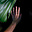 Heron (E. Prime)'s avatar
