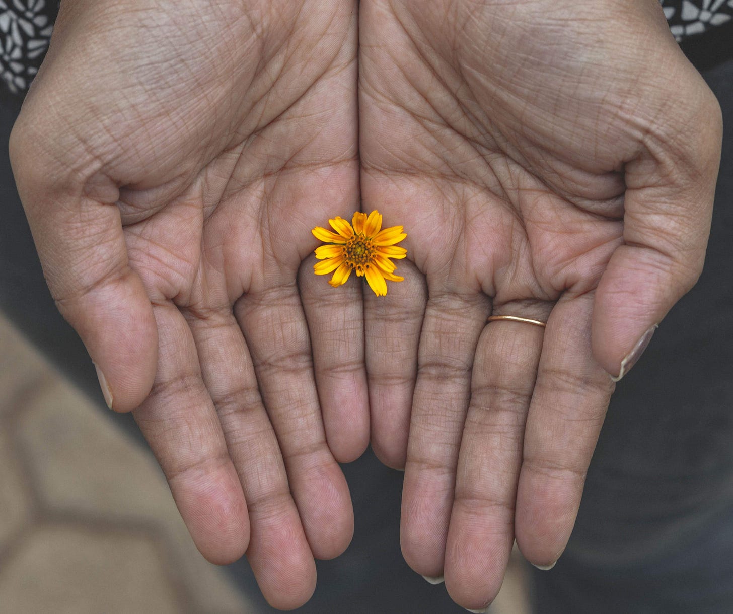 Photo by Sreenadh TC on Unsplash