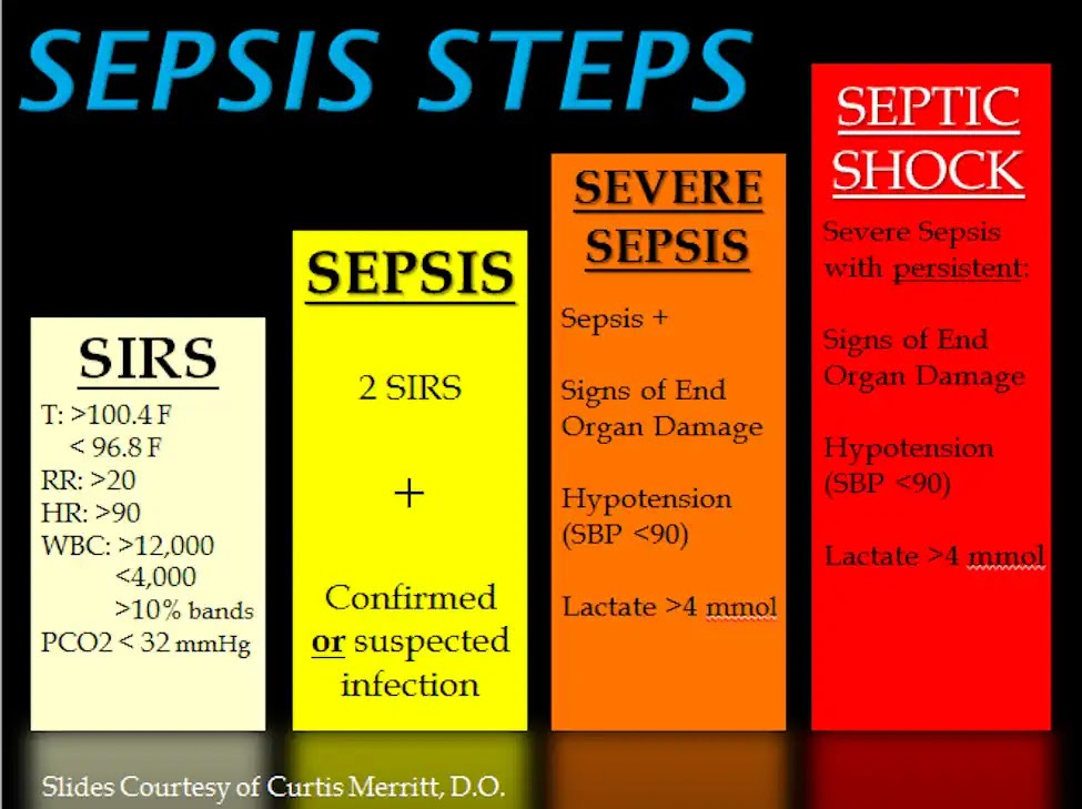 Teaching slide for help in identifying possible sepsis syndrome, severe sepsis, and septic shock