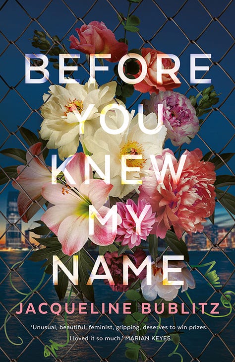 book covers: the man who didn't call; before you knew my name; an abundance of katherines; anne of green gables;dear sweet pea; i miss you when I blink