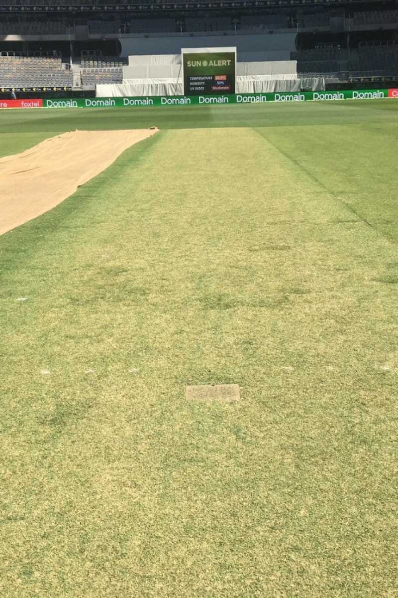 Pace, bounce and live grass - Perth surface gets India excited |  ESPNcricinfo
