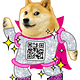Doge Disco Blog
