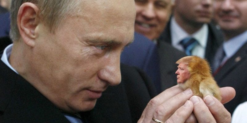 donald trump defends vladimir putin despite republicans view donald trump defends vladimir putin despite republicans view