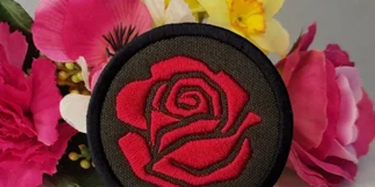 The DSA Drift: Are We Truly Surprised?