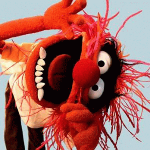 Animal GIF - Animal GIFs