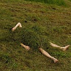 Seasonal Delights, Rituals & Reads for June
