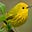 LimeadeIsLife's avatar