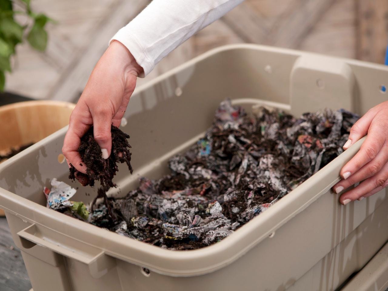 Image result for vermicomposting bin