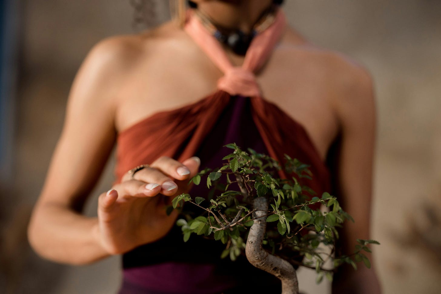 Close-Up Shot of a Person Touching a Bonsai