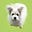 ted0x's avatar