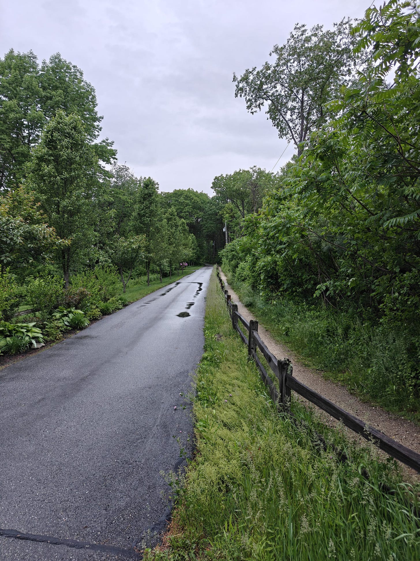 A Trek Along the Cocheco Railroad