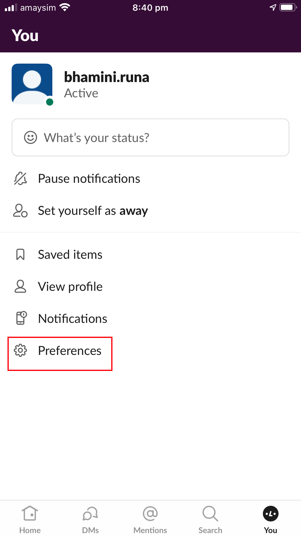 Slack Your Menu "You" Preferences