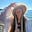 Collette Carol's avatar