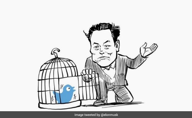 Elon Musk Shares Twitter-Related Snarky Cartoon, Internet ...