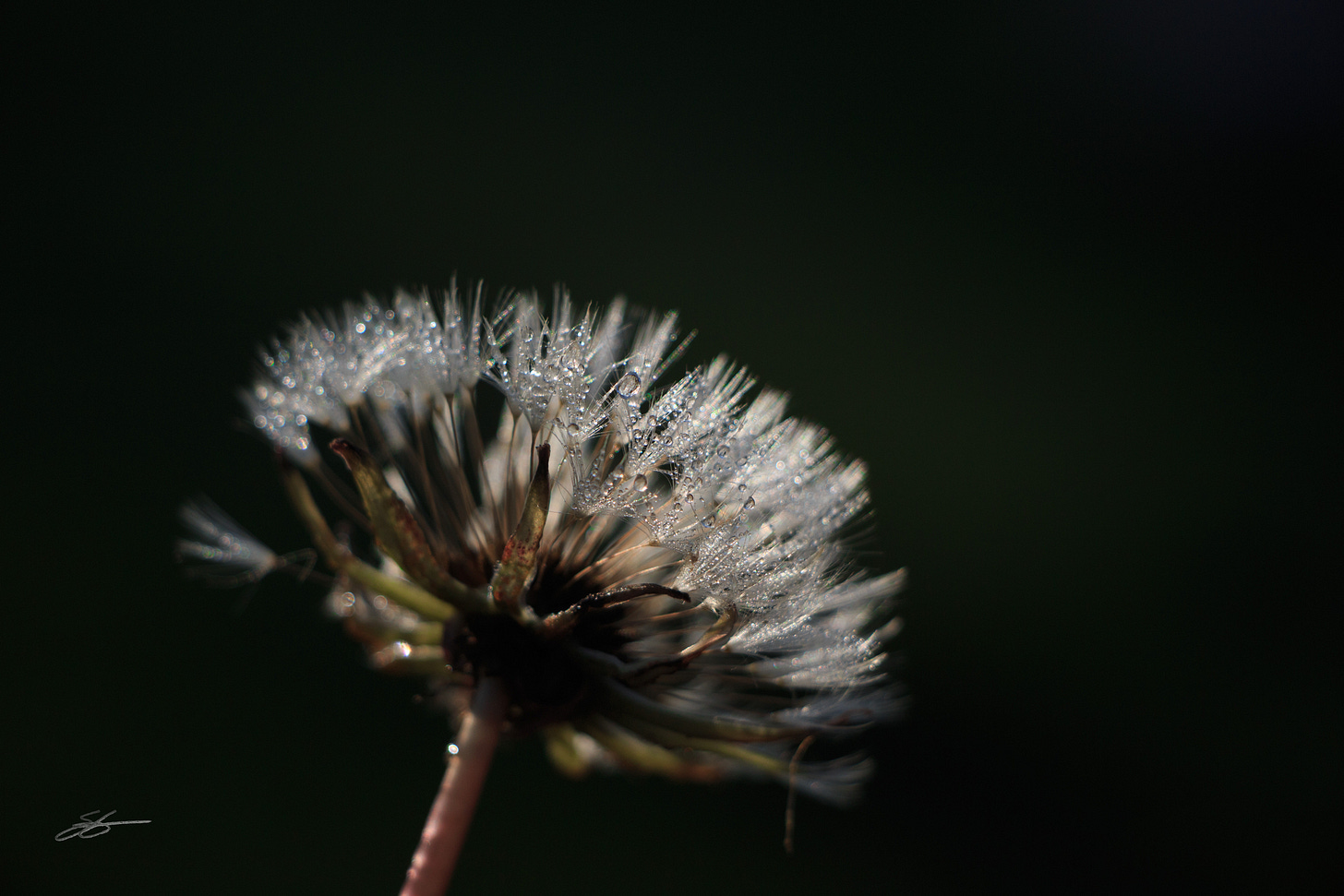 IMG_0300 IMG_0300