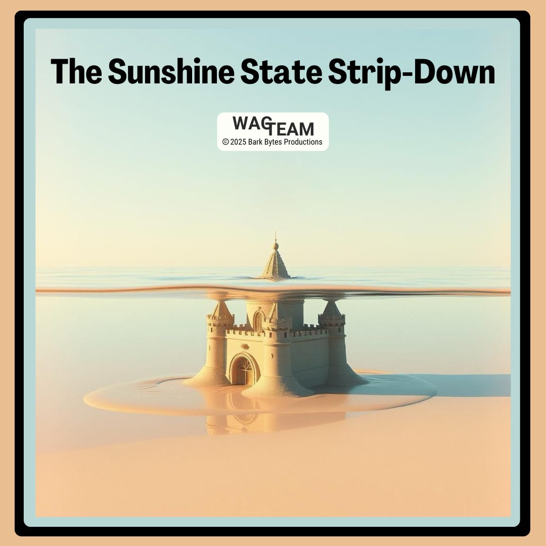 A surreal image of a sandcastle-like structure sinking into pastel-colored waters, symbolizing Florida's housing market with a healthy dose of existential dread. The WAG TEAM logo floats above like a lifeguard watching the whole state drown in its own policies. A surreal image of a sandcastle-like structure sinking into pastel-colored waters, symbolizing Florida's housing market with a healthy dose of existential dread. The WAG TEAM logo floats above like a lifeguard watching the whole state drown in its own policies.