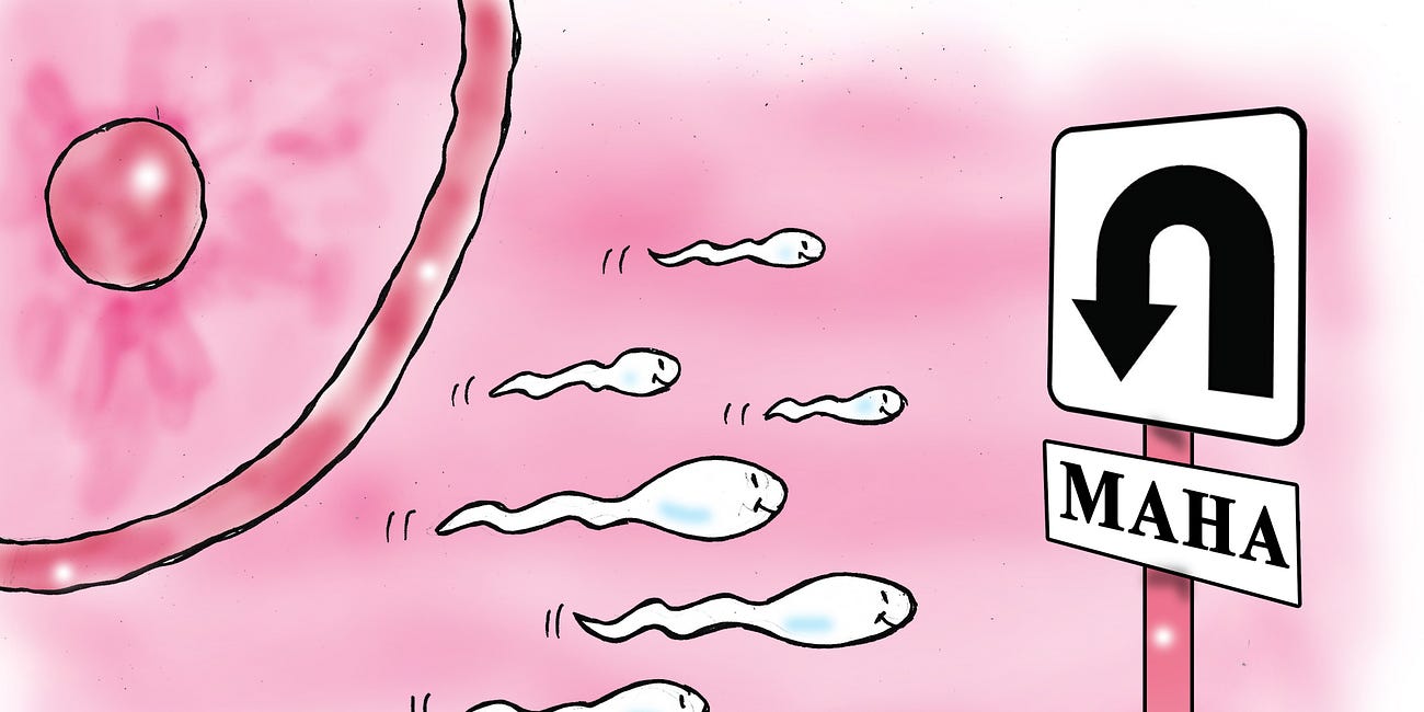 Crashing Sperm Counts! Dwindling Fertility Rates! What’s Causing the Male Sperm Count Crisis and Why It Must Be Stopped