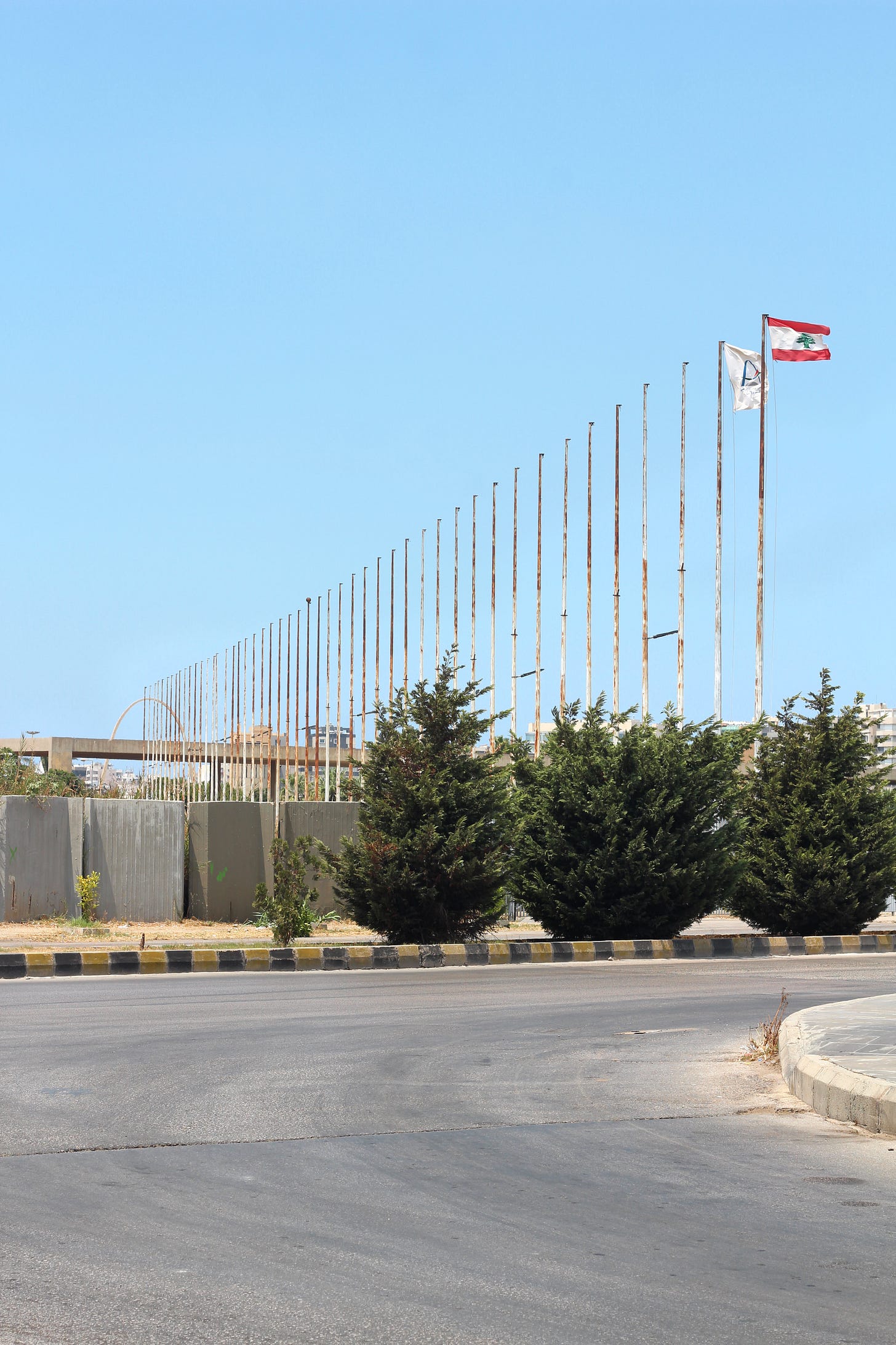 IMG_8695.jpeg IMG_8695.jpeg