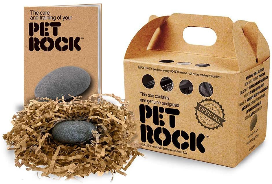 Professional photo of manual, box and "pet" rock. Professional photo of manual, box and "pet" rock.