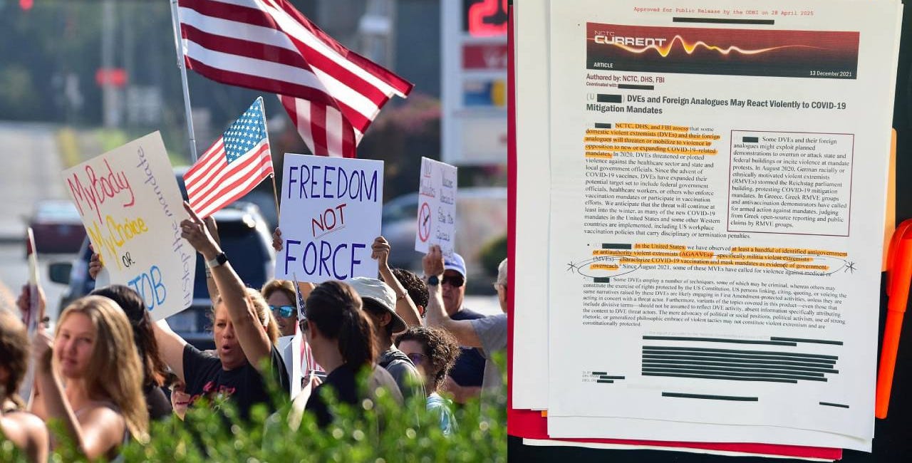 Declassified: Biden Admin Labeled COVID Dissenters 'Domestic Violent Extremists'