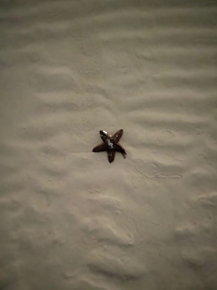 photos of sunsets and beach scenes after dark in Holbox, Mexico. The nighttime beach scenes appear to have been taken during the daytime, but because of the phone camera's ability to regulate light, the photos look like they were taken during the day. 