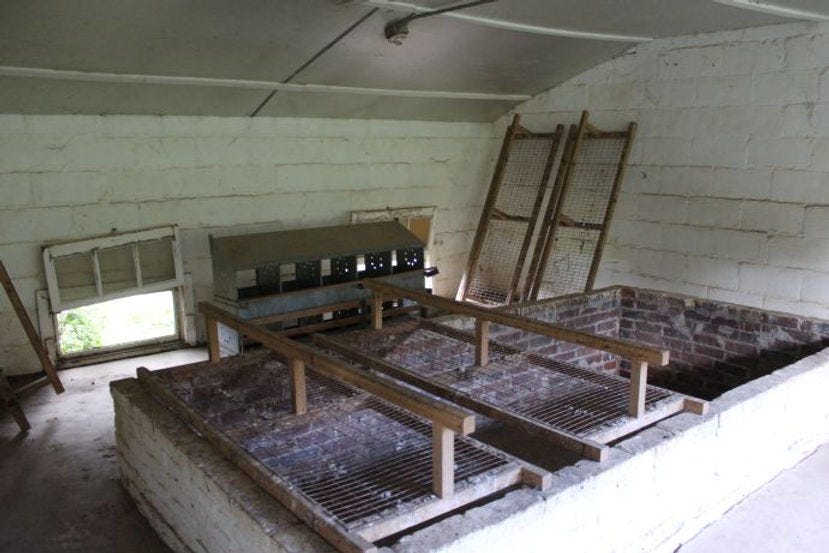 Inside chicken house at Rodale Founders Farm