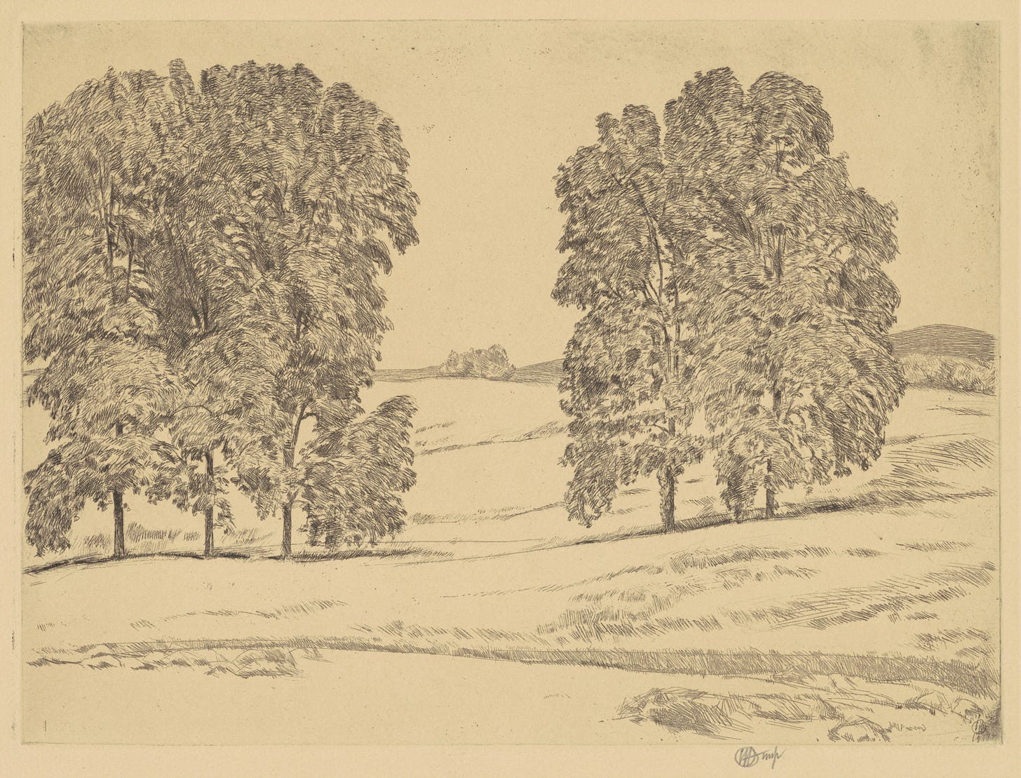 a drawing of trees in a field. Inscription reads: lower right in plate: Aug 23 / [the artist's monogram] / 1917; lower right in graphite: [the artist's monogram] imp; lower left edge in graphite by unknown hand: 2nd State / Hickories in a Hayfield; lower center edge in graphite by unknown hand: 618577[crossed out] 890HA; upper center verso in graphite by unknown hand: #22