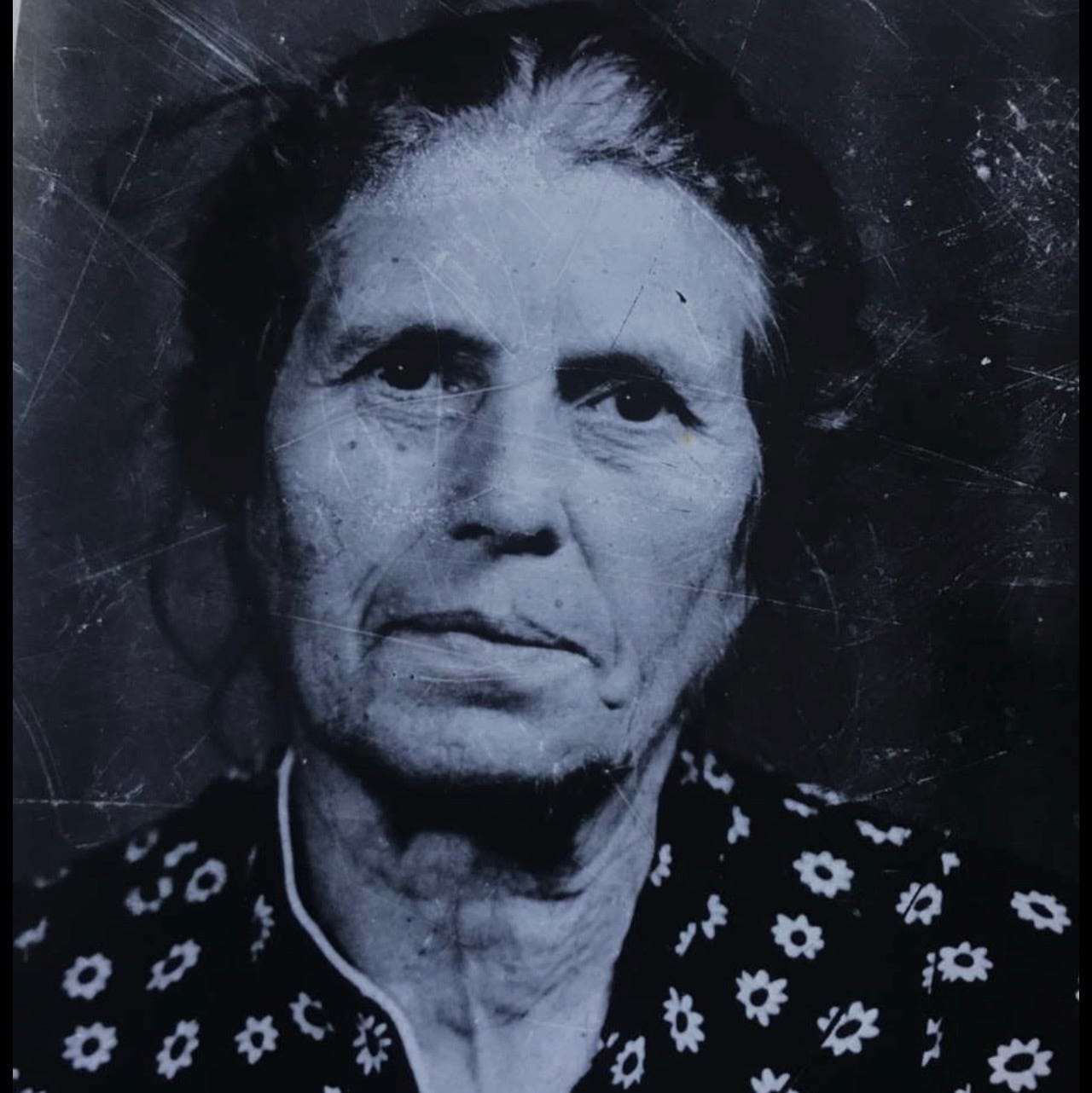 Terra Vance: Marked Melungeon