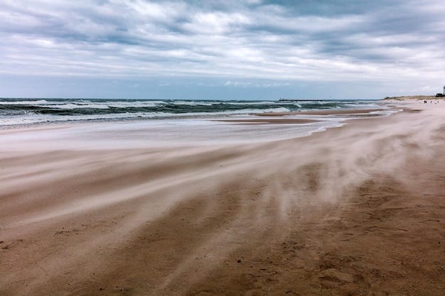 Stormy sea wind blowing sand on the beach overcast sky | Premium Photo