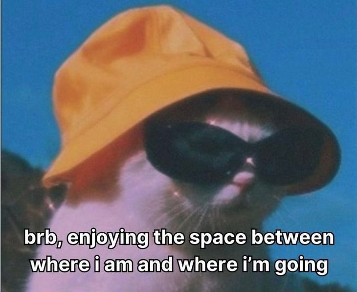 a cat wearing a bucket hat and sunglasses with the caption “brb, enjoying the space between where I am and where I’m going"