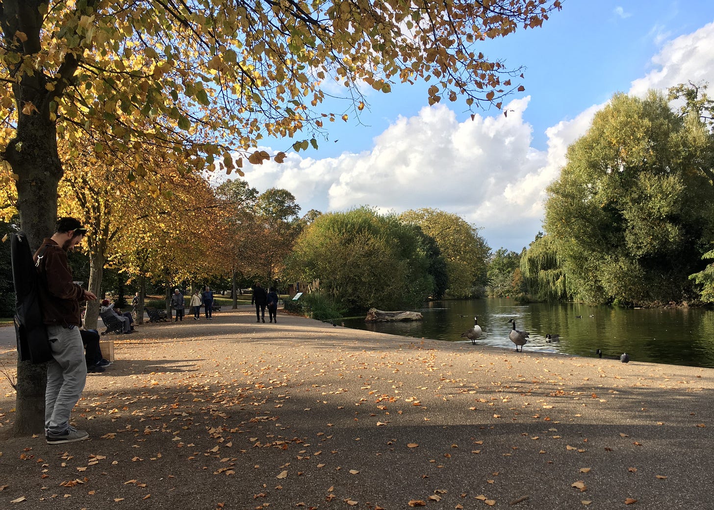 Autumn afternoon at Victoria Park: golden leaves hang from a large tree in the foreground, with fallen leaves scattered across the path below. A solitary figure in dark clothing stands on the left side of the image, facing the water. Geese swim in the calm pond, with trees reflected in the water and more autumn foliage visible across the far bank.